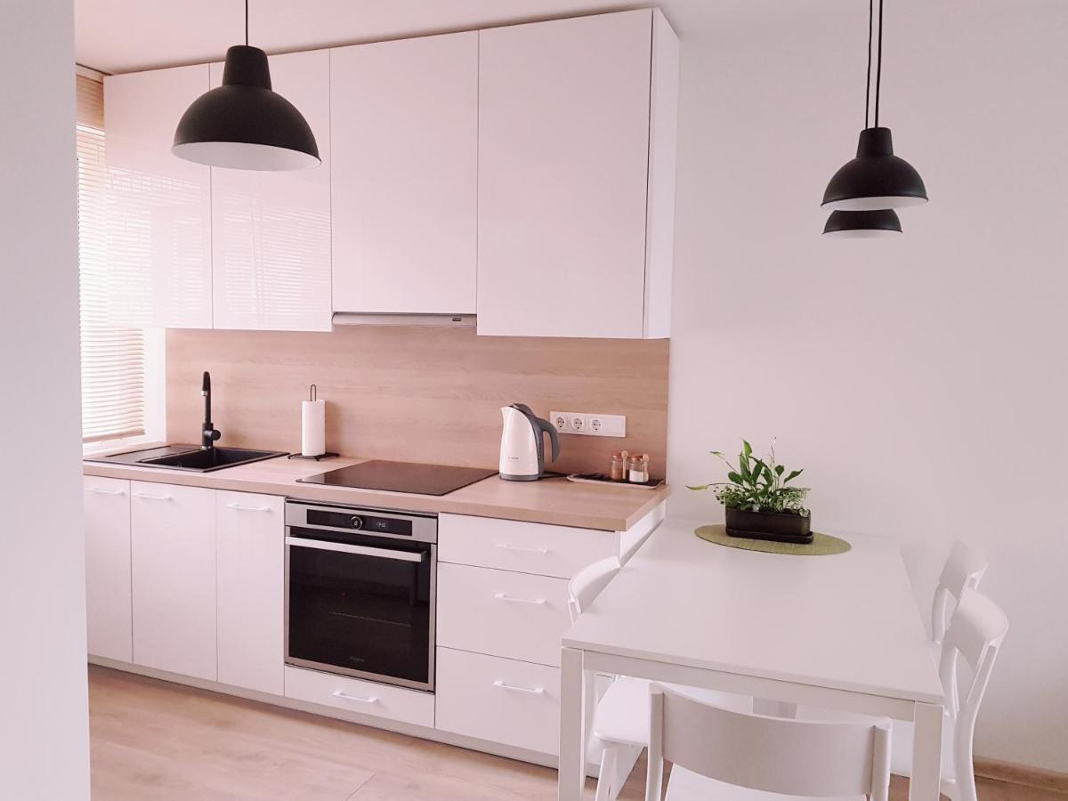 New City Center Apartments Druskininkai Extérieur photo